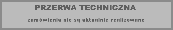 Przerwa techniczna